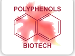 Polyphénols Biotech